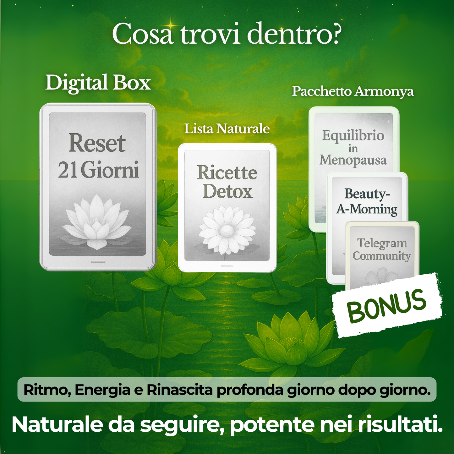🌿 Rynascita