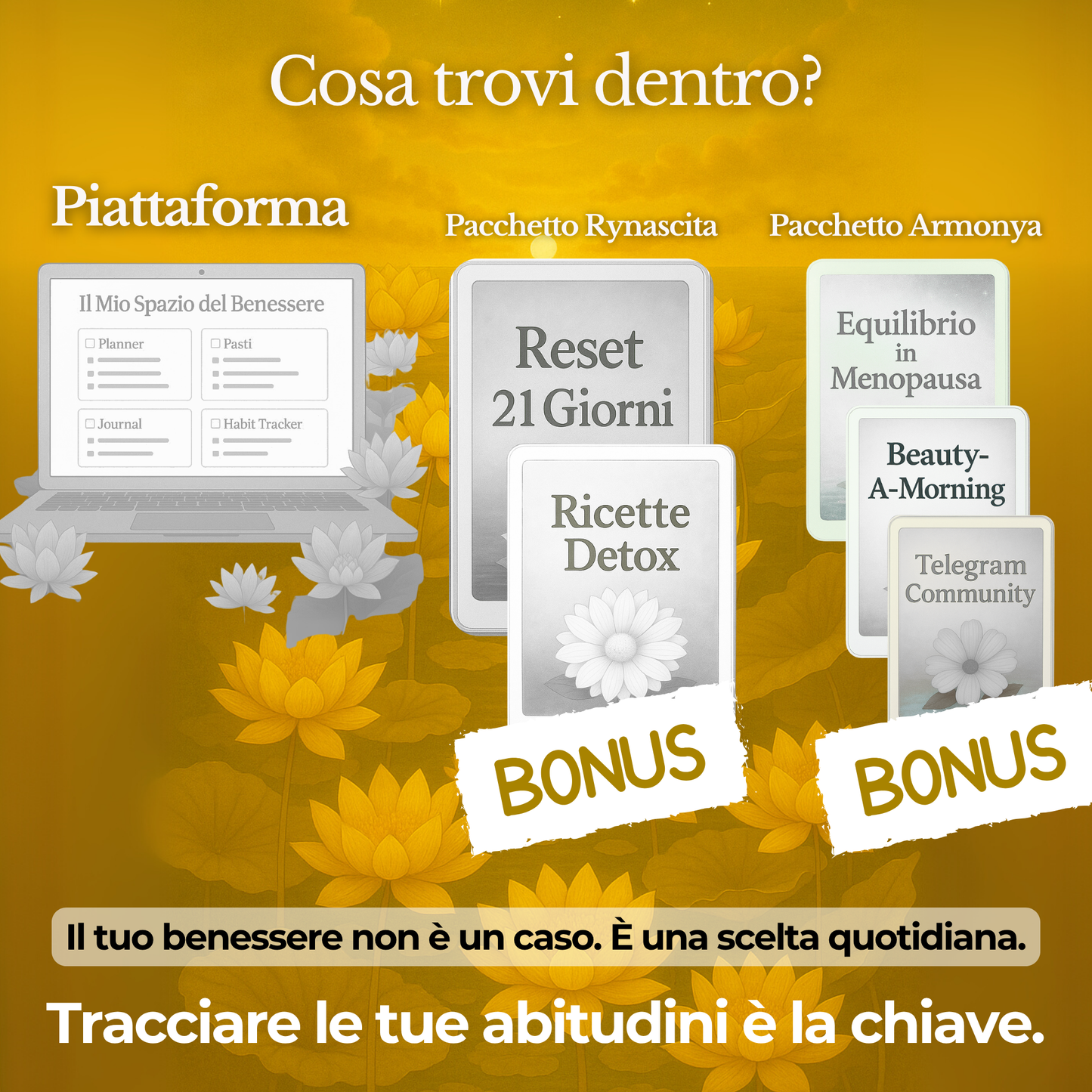 🌼 Trasformazyone